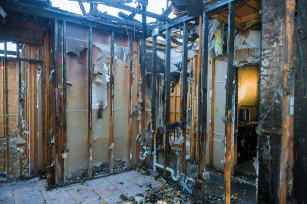 Professional Fire Damage Removal technician working in Hobart, WA