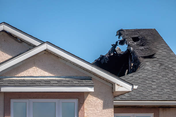 Top rated local Fire Damage Removal specialists in Hobart, WA
